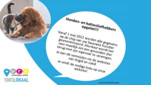 kat en hond 300x169 1